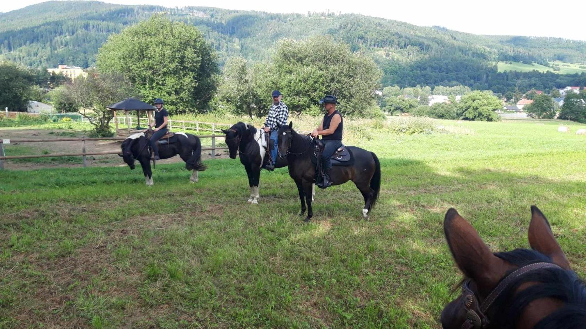 Penzion U Hradilu Vrbno pod Pradědem المظهر الخارجي الصورة